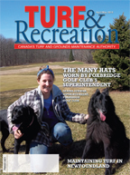 Cover Story